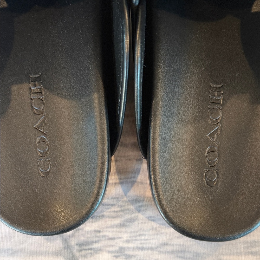 NWT COACH Women's Signature Jacquard Round Toe Archival Buckle Clogs - Picture 5 of 12